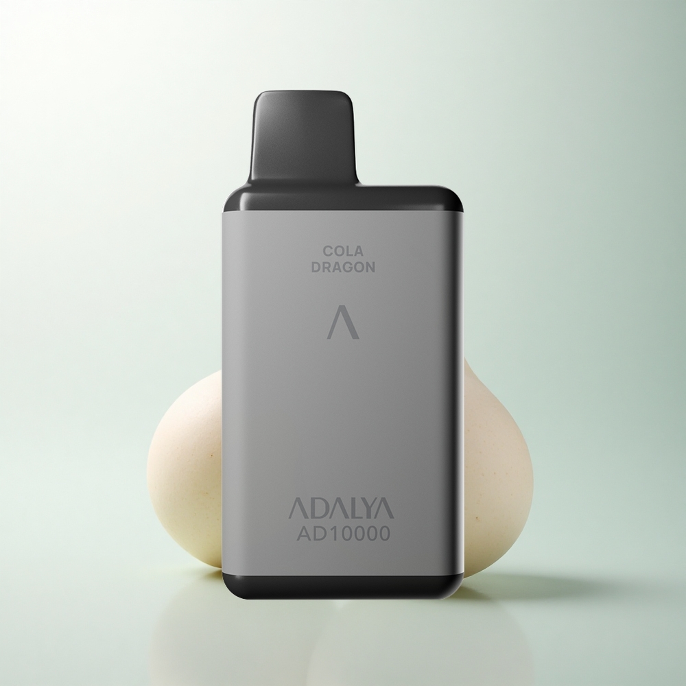 Adalya AD 10000 Puffs Seigneur Gris Acier Rechargeable USB-C