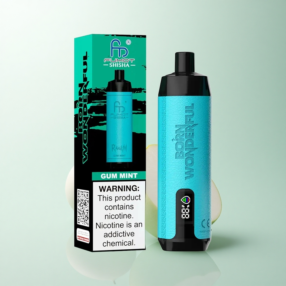 RandM Fumot Shisha 10000 Puffs Menthe Givrée à LED 18ml 0.6ohm