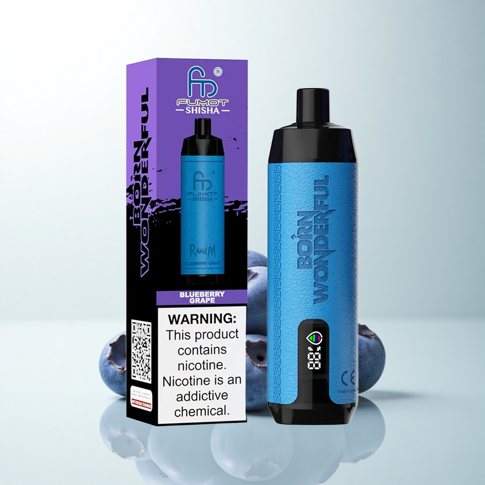 RandM Fumot Shisha 10000 Puffs Myrtille Raisin LED 18ml 0,6ohm