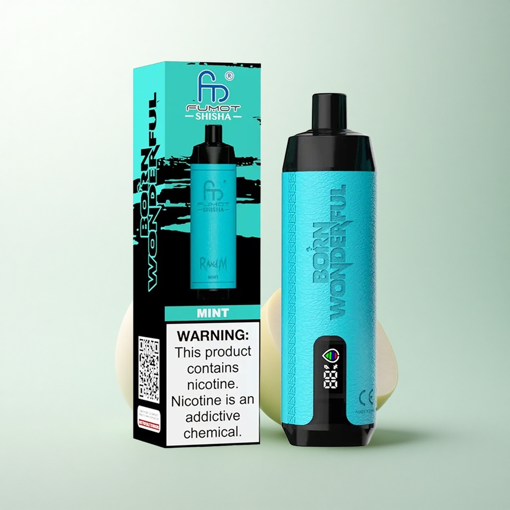 RandM Fumot Shisha 10000 Puffs Vape Jetable Menthe avec Indicateur LED et 18ml E-liquide Prérempli