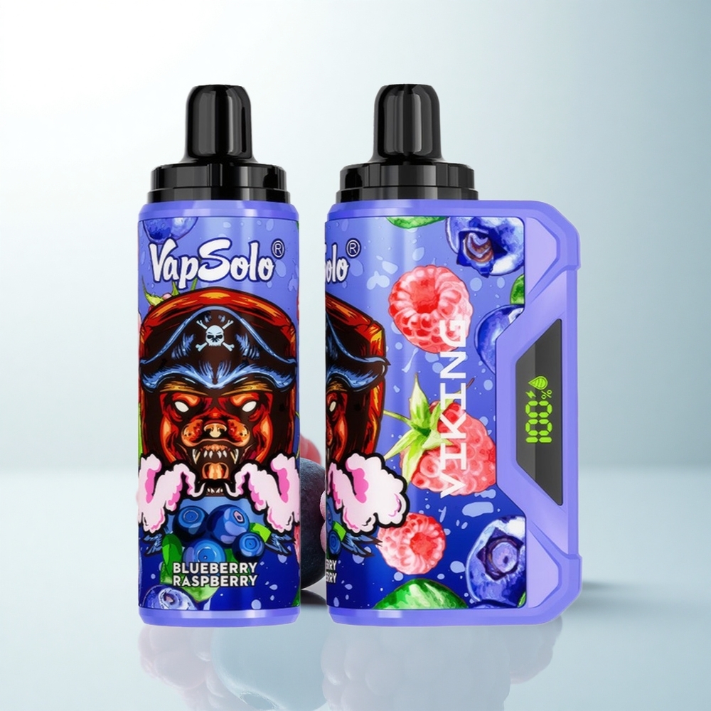 VapSolo VIKING 12000 Puffs Myrtille Framboise Type-C 22ml