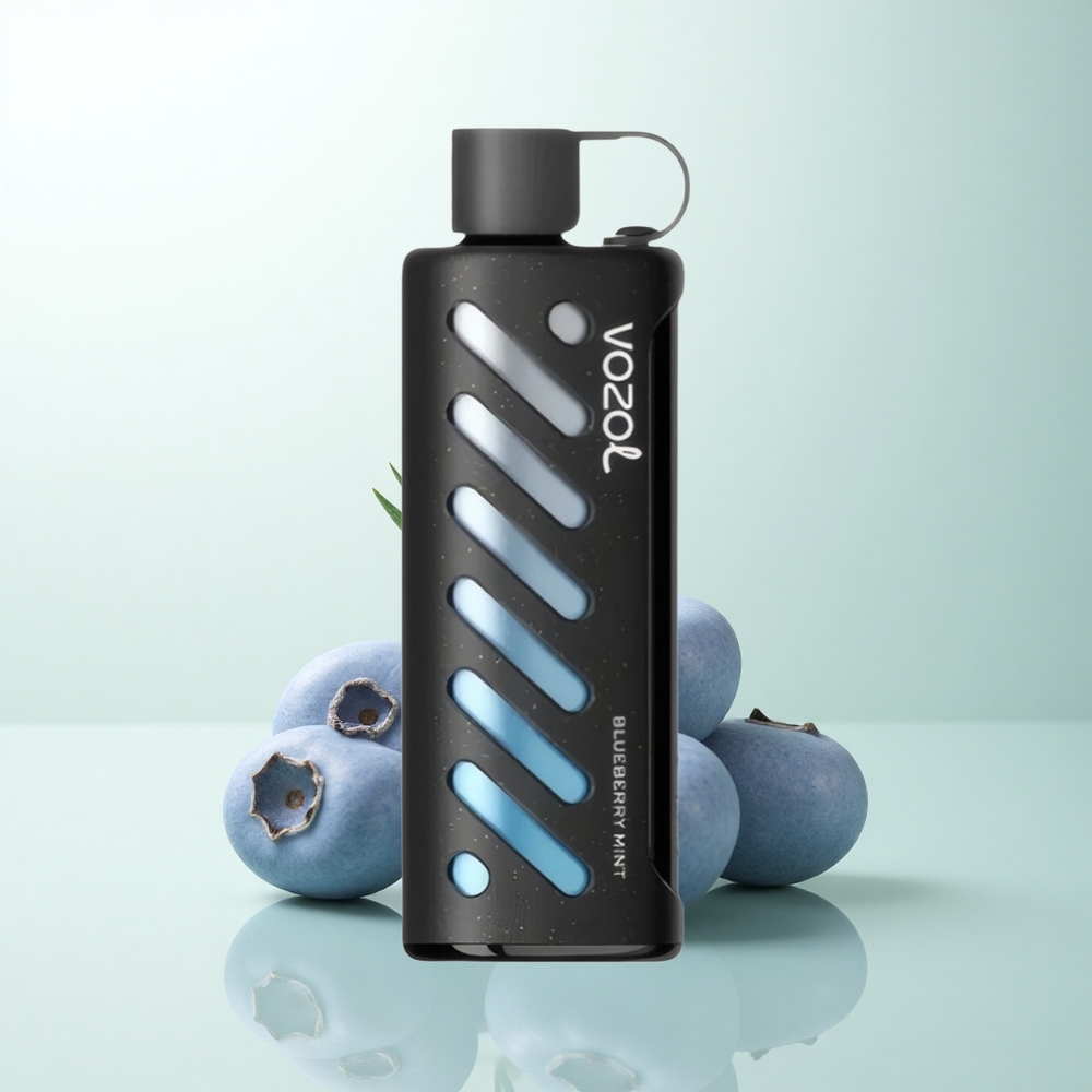 VOZOL Gear Shisha 25000 Puffs Menthe Myrtille Dual Mesh Tech S.i.L.C
