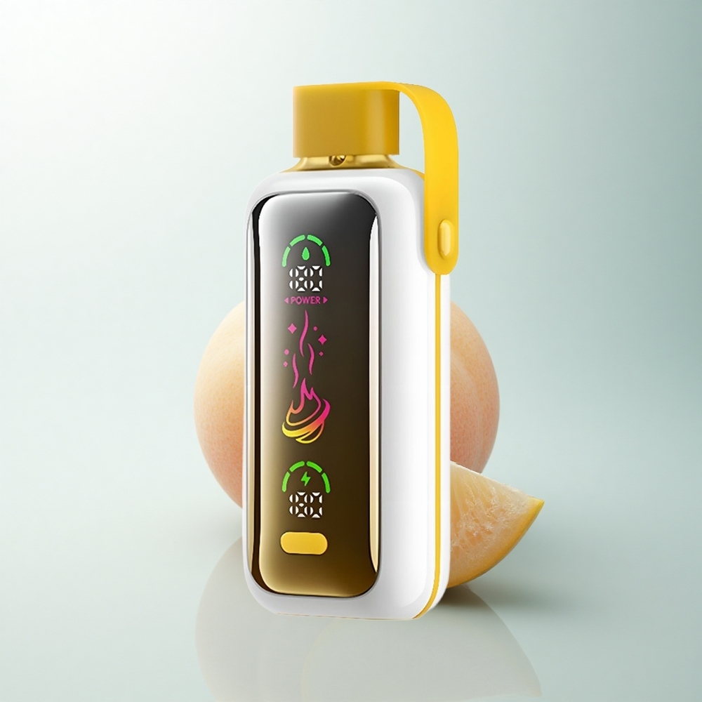 VOZOL Star 20000 Puffs Glace à la Mangue HD Double Mesh 650mAh