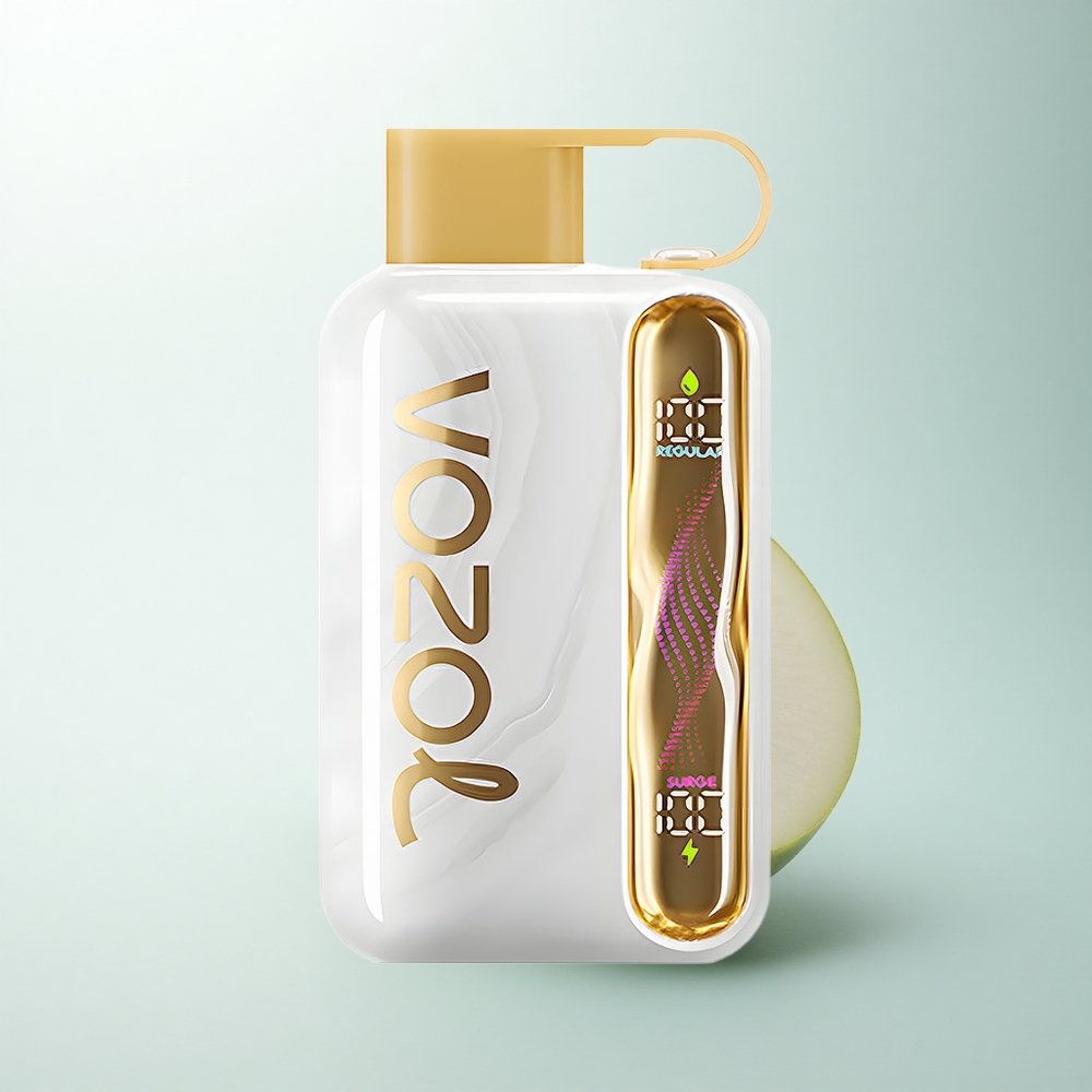 VOZOL STAR 40000 Puffs Glace au Melon Charge Type-C 1000mAh