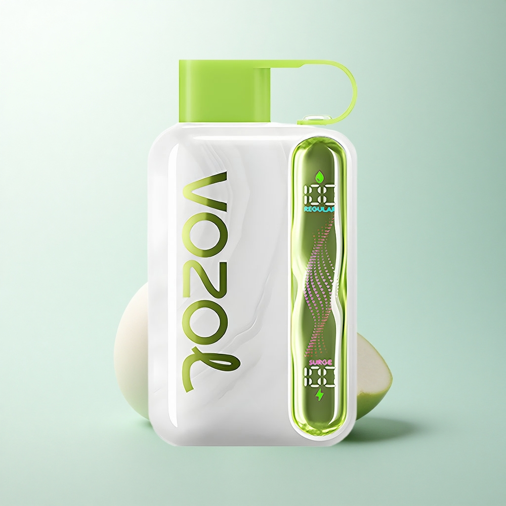 VOZOL STAR 40000 Puffs Menthe Fraîche 1000mAh Type-C 20/50mg/ml