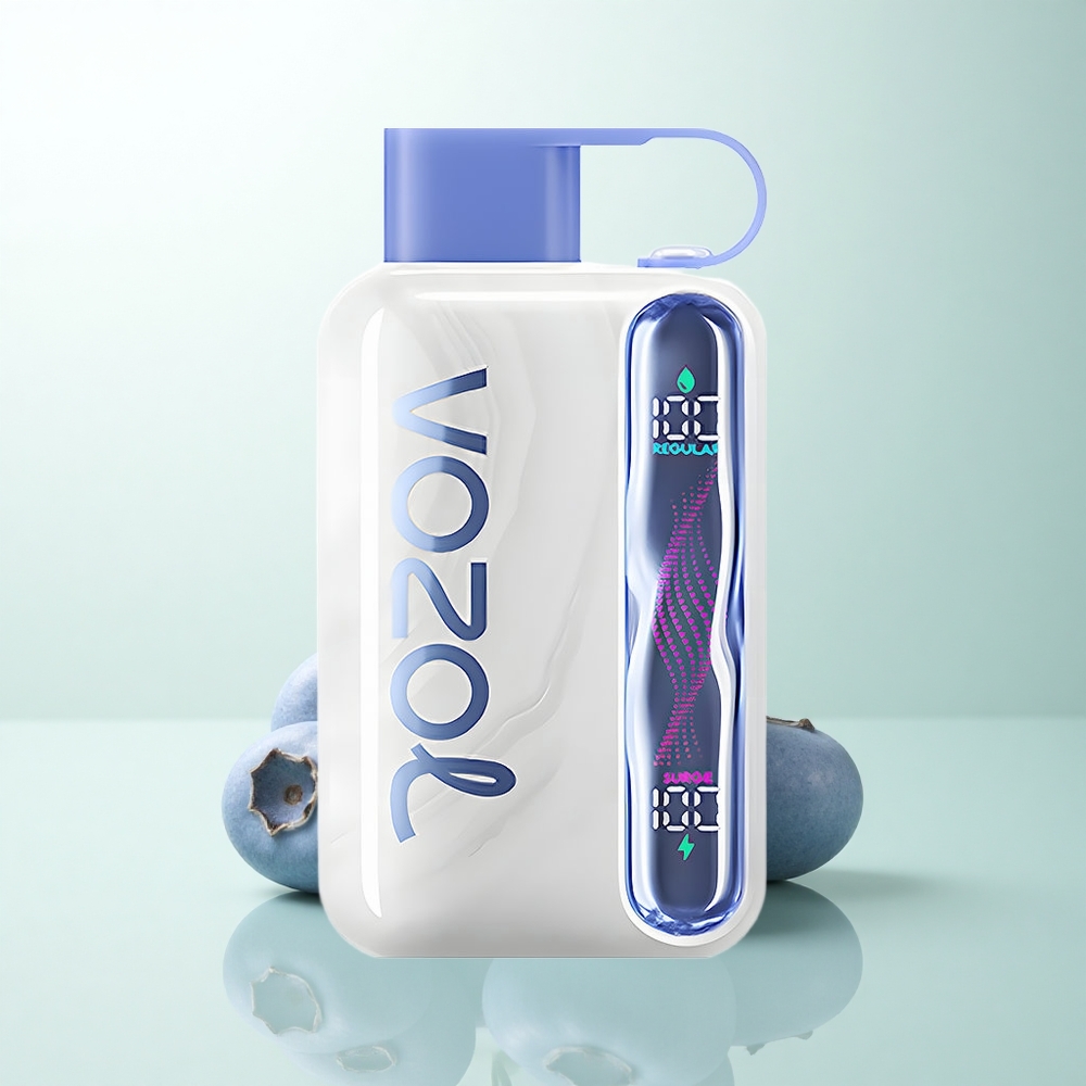 VOZOL STAR 40000 Puffs Menthe Myrtille 1000mAh Type-C 20/50mg