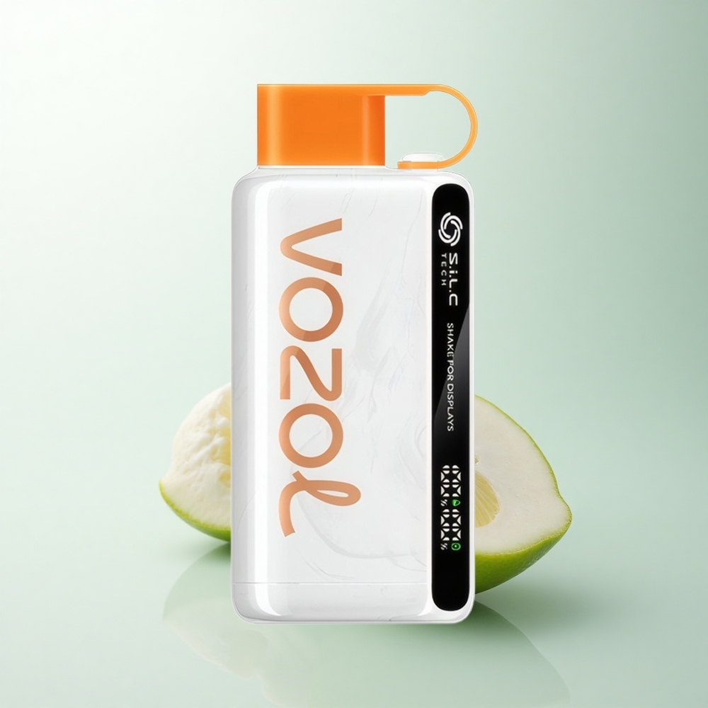VOZOL STAR 9000/12000 Puffs Citron Vert Recyclé avec Charge Rapide