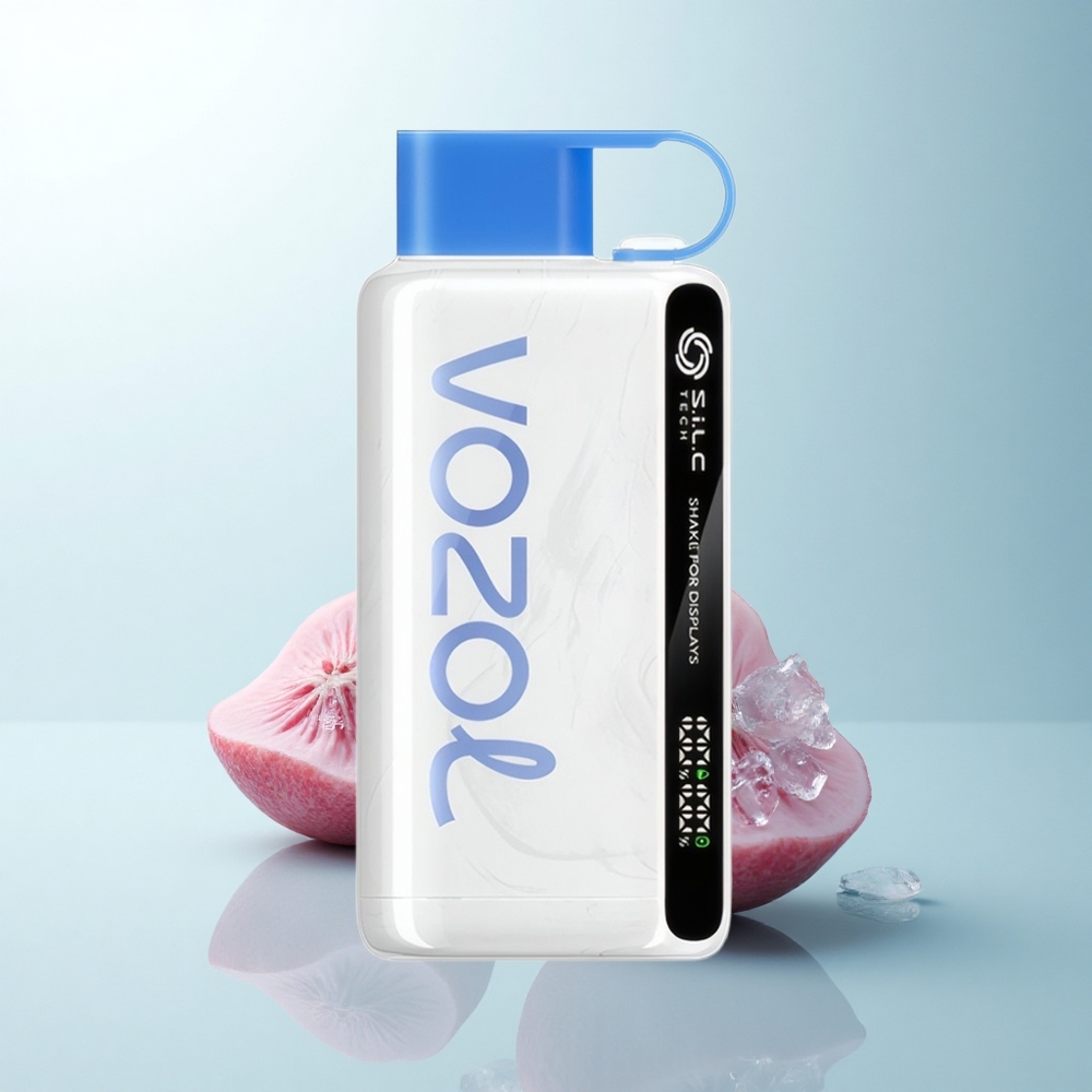 VOZOL STAR 9000/12000 Puffs Glace Bleue Framboise Recyclée à Charge Rapide