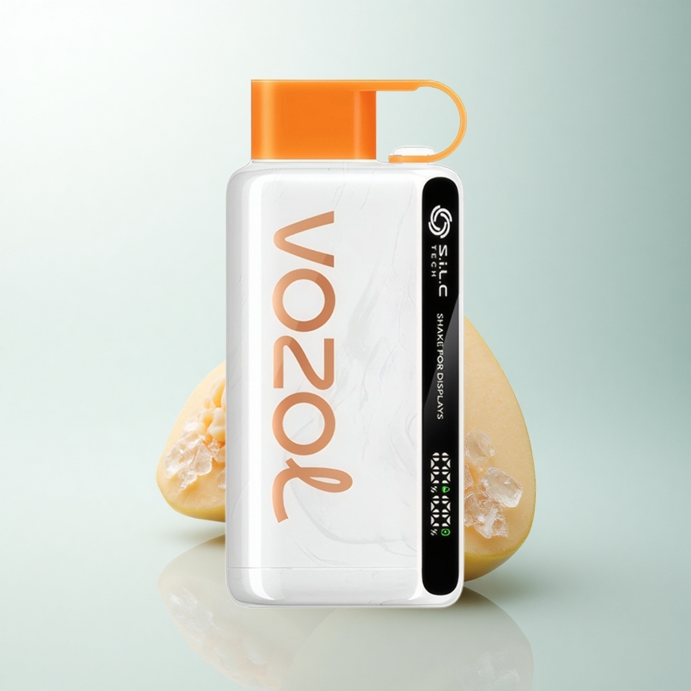 VOZOL STAR 9000/12000 Puffs Glace Mangue Mexica Recyclé avec Charge Rapide