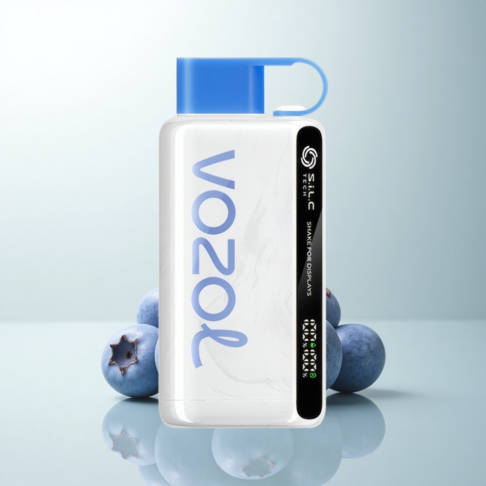VOZOL STAR 9000/12000 Puffs Tempête de Myrtille avec Charge Rapide et Recyclage