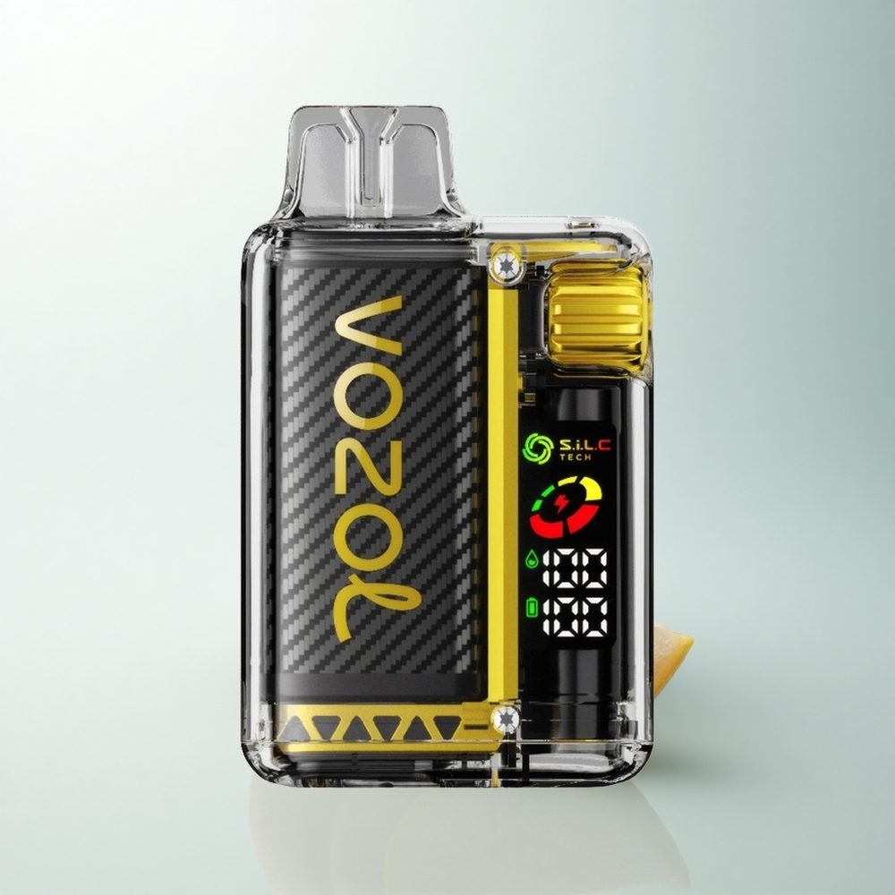 VOZOL Vista 20000 Puffs Glace Mangue Écran OLED 650mAh